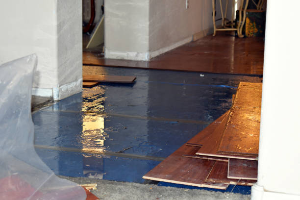 Professional Water Damage technician working in Cecil, WI