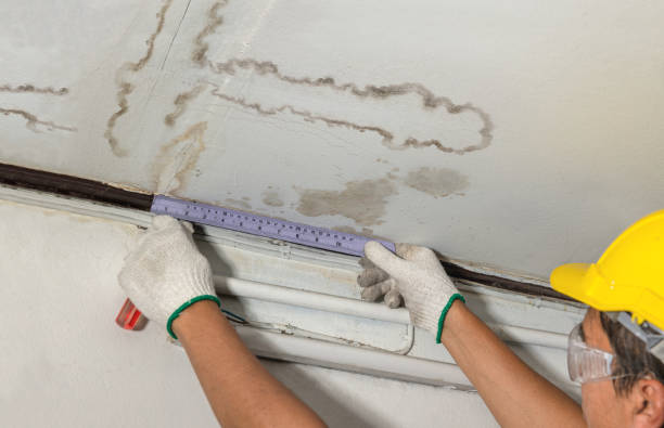 Reliable Water Damage contractor in Cecil, WI by Water Damage Irwin